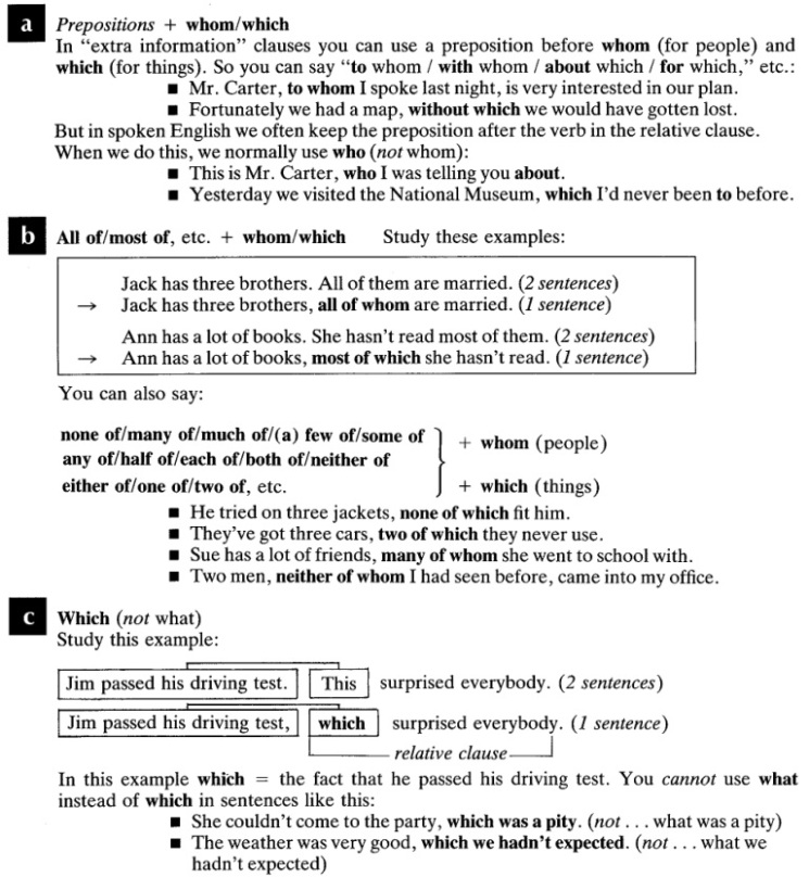 Relative Clause With Extra Information